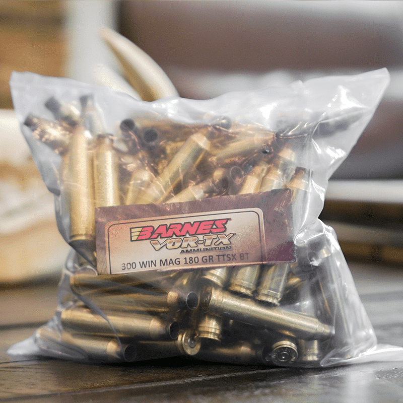 300 WIN MAG 180 GR TTSX BT